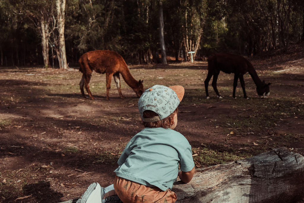 TODDLER AND KIDS SNAPBACK HAT - CLASSIC PATTERN