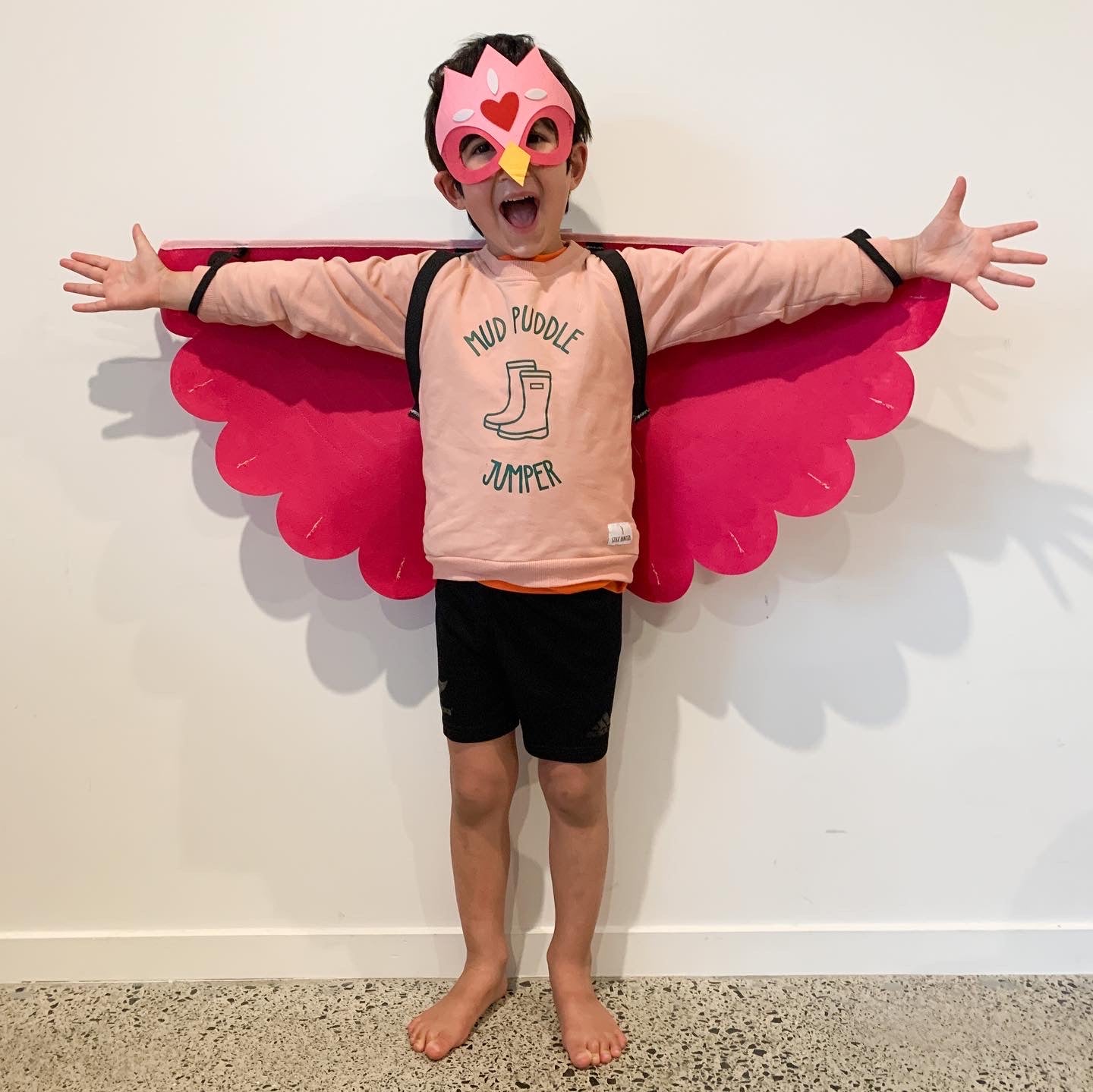 FELT WING - KORIMAKO